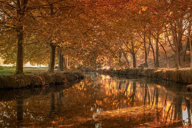 Comparatif des Finisseurs d'Impression