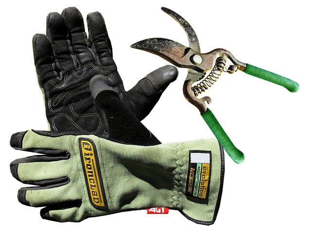 Essential Home Gardening Tools for Every Gardener